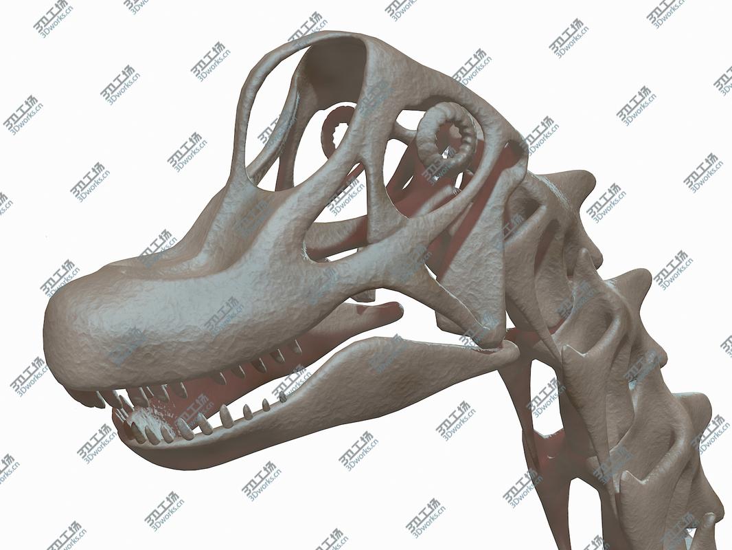 images/goods_img/2021040232/Brachiosaurus Skeleton 3D model/2.jpg